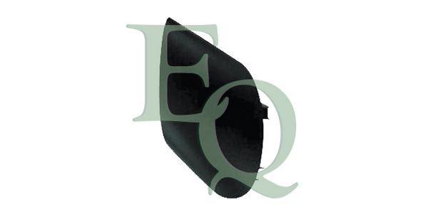 EQUAL QUALITY Wing mirror Article number: RD03374 cheaply