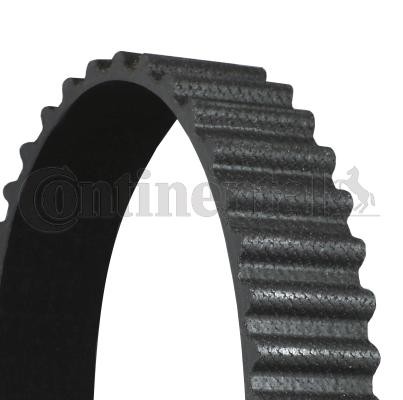 CONTITECH Timing Belt Article number: CT1019 cheaply
