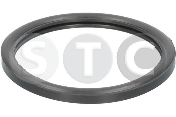 STC Gasket, thermostat Article number: T402362 cheaply
