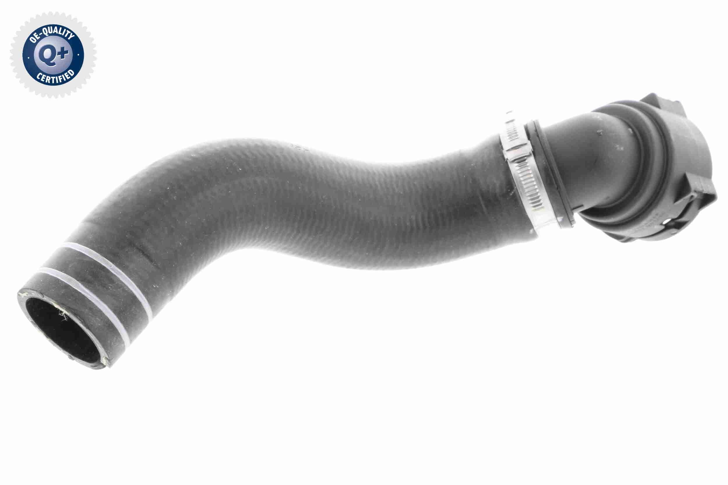 VAICO Radiator hose Article number: V24-0833 cheaply