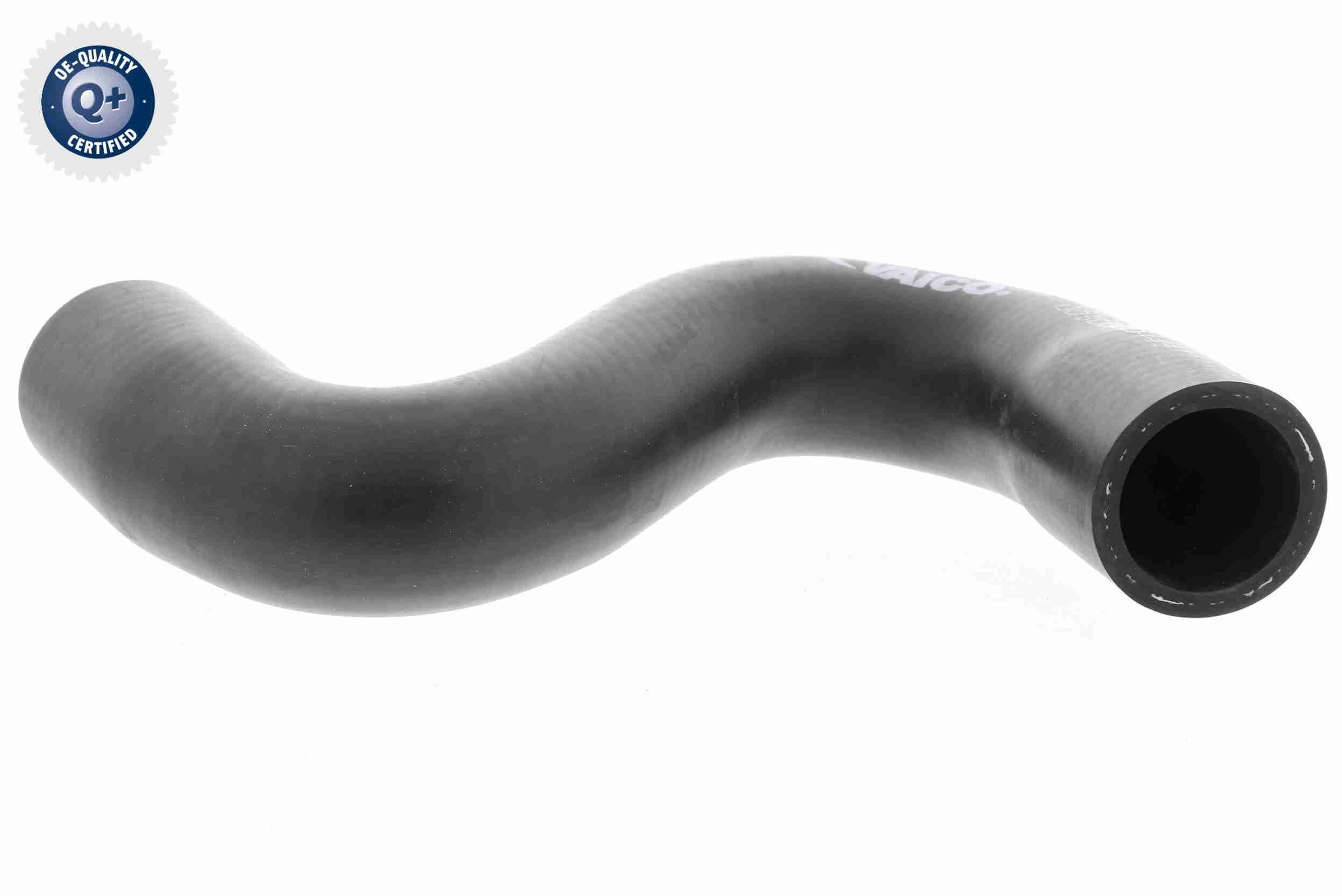 VAICO Radiator hose Article number: V42-0635 cheaply
