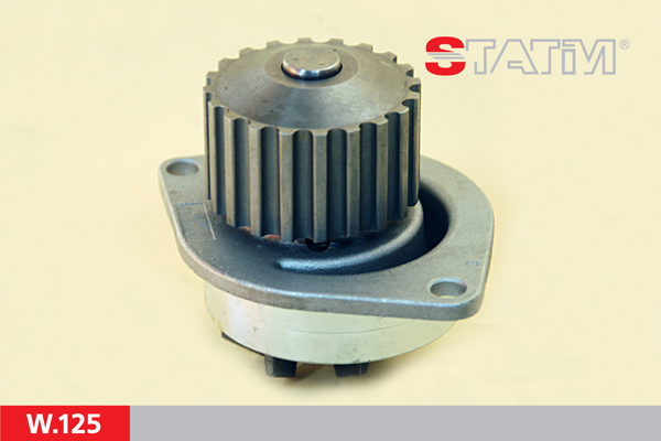 STATIM Water pump Article number: W.125 cheaply