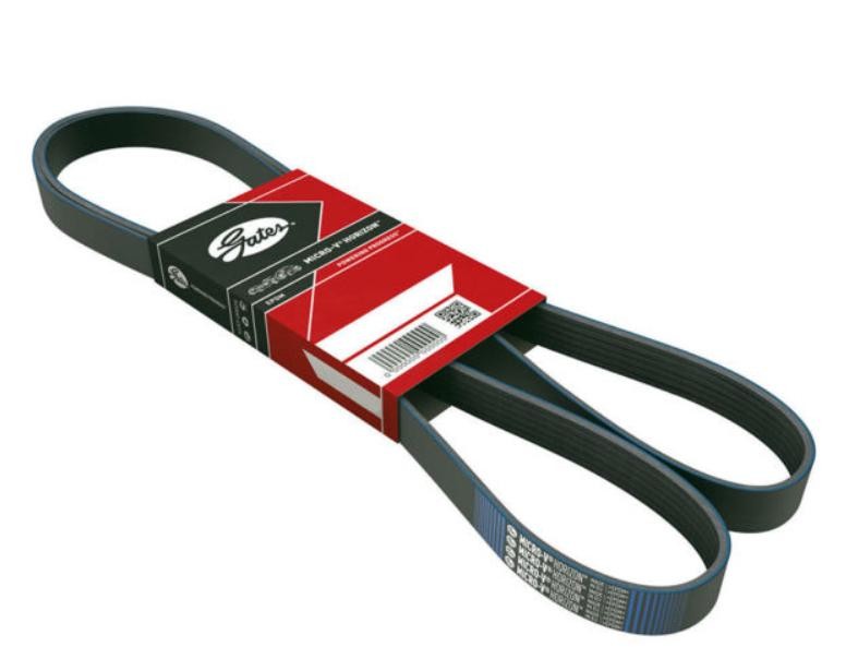 GATES Serpentine belt Article number: 2PJ905 cheaply