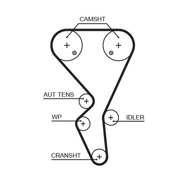 GATES Timing Belt Article number: 5581XS cheaply
