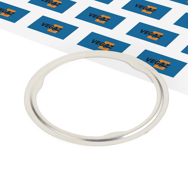 VEGAZ Exhaust pipe gasket Article number: OD-171 cheaply