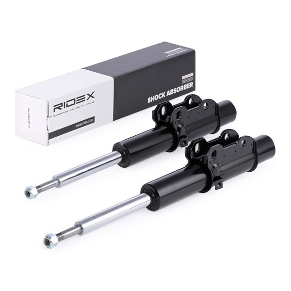 RIDEX Shock absorber Article number: 854S1994 cheaply
