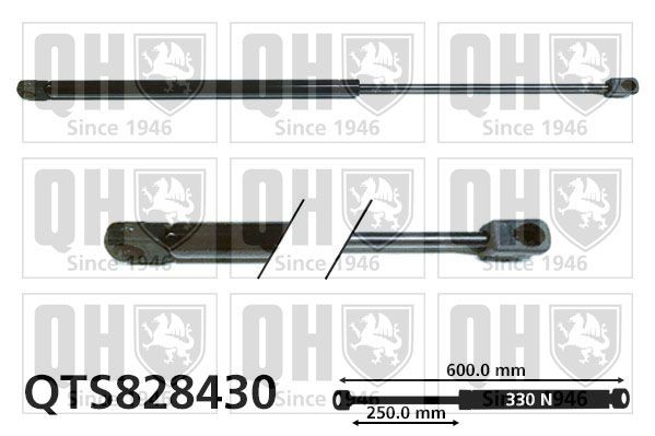 QUINTON HAZELL Tailgate strut Article number: QTS828430 cheaply