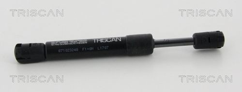 TRISCAN Tailgate strut Article number: 8710 23248 cheaply