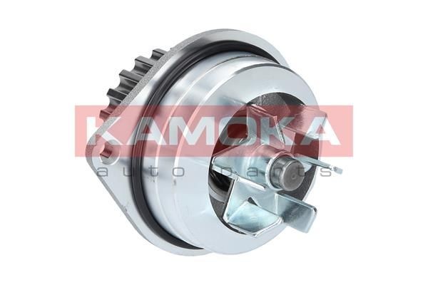 KAMOKA Water pump Article number: T0079 cheaply