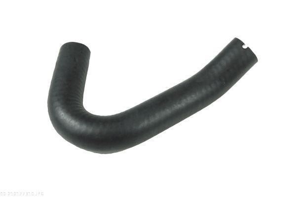 AUTOMEGA Radiator hose Article number: 210177310 cheaply