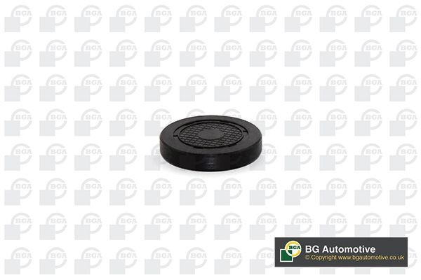 BGA PL4601 Plug, rocker arm shaft mounting bore MODUS 1.6 112 PS Petrol