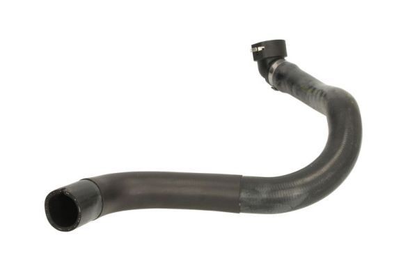THERMOTEC Radiator hose Article number: DWF224TT cheaply