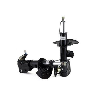 Arnott Shock absorber Article number: SK-2176 cheaply