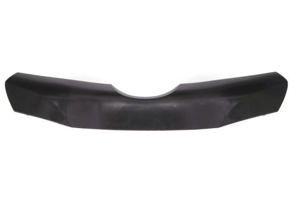 OEM Bumper moulding 6502-07-3136925P from BLIC