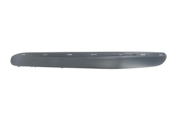 BLIC Bumper moulding Article number: 6502-07-3515933P cheaply