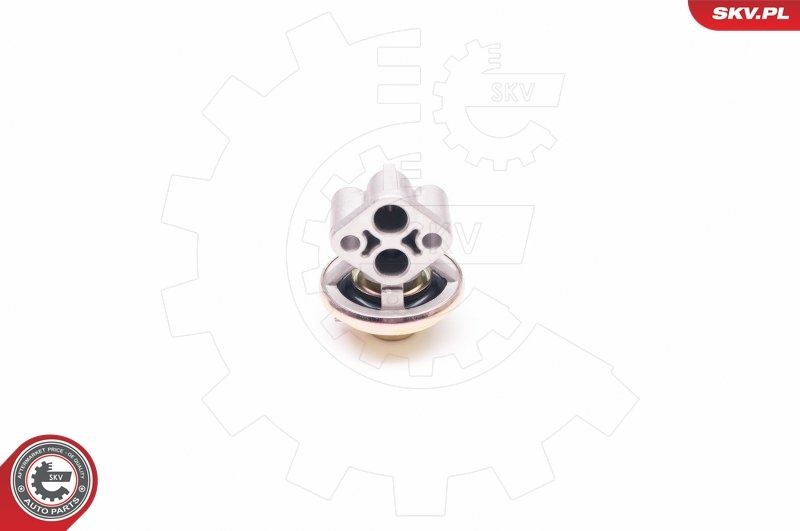 ESEN SKV EGR valve Article number: 14SKV130 cheaply