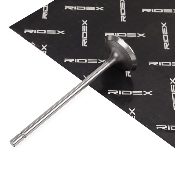 RIDEX Inlet valve Article number: 1269I0005 cheaply
