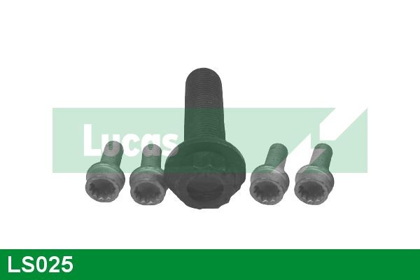 LUCAS LS025 Комплект винтове, ремъчно зъбно колело-колянов вал PASSAT 1.9 TDI 130 K.C. дизел 2005