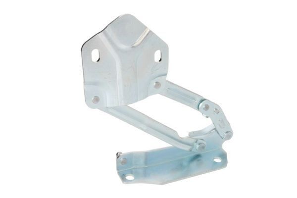 BLIC Hinge, bonnet Article number: 6802-00-9546451P cheaply