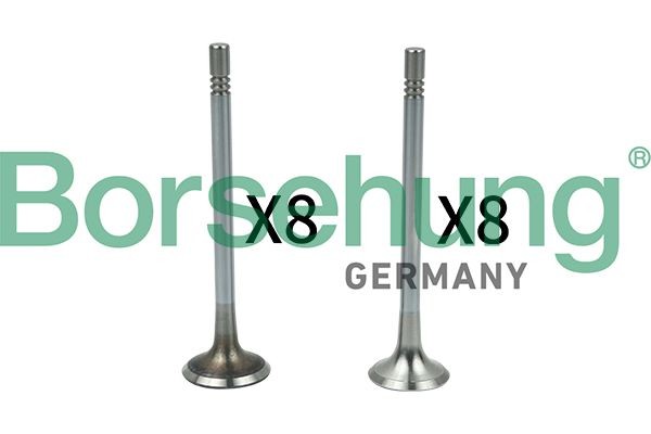 Borsehung Valve Article number: B18628 cheaply
