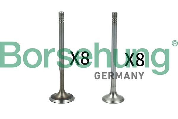 Borsehung Valve Article number: B18630 cheaply