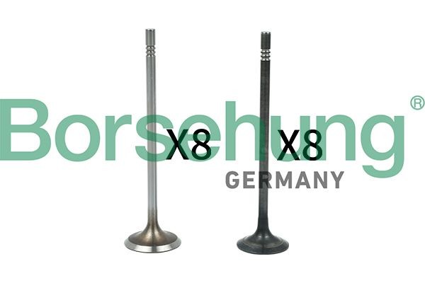 Borsehung Valve Article number: B18631 cheaply