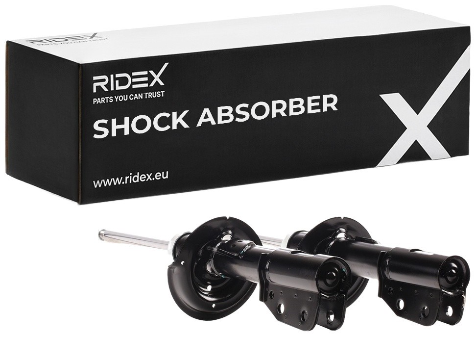 RIDEX Shock absorber Article number: 854S1579 cheaply