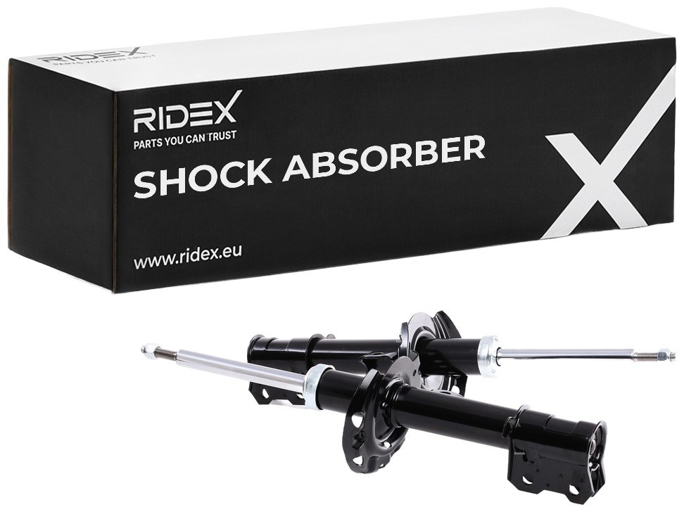 RIDEX Shock absorber Article number: 854S1613 cheaply
