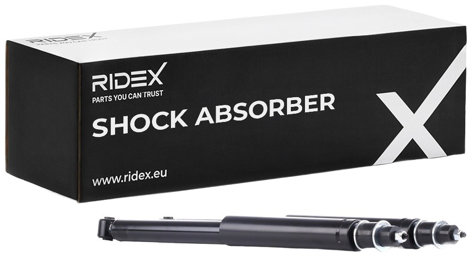 RIDEX Shock absorber Article number: 854S1669 cheaply