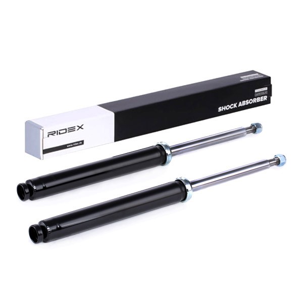RIDEX Shock absorber Article number: 854S1713 cheaply