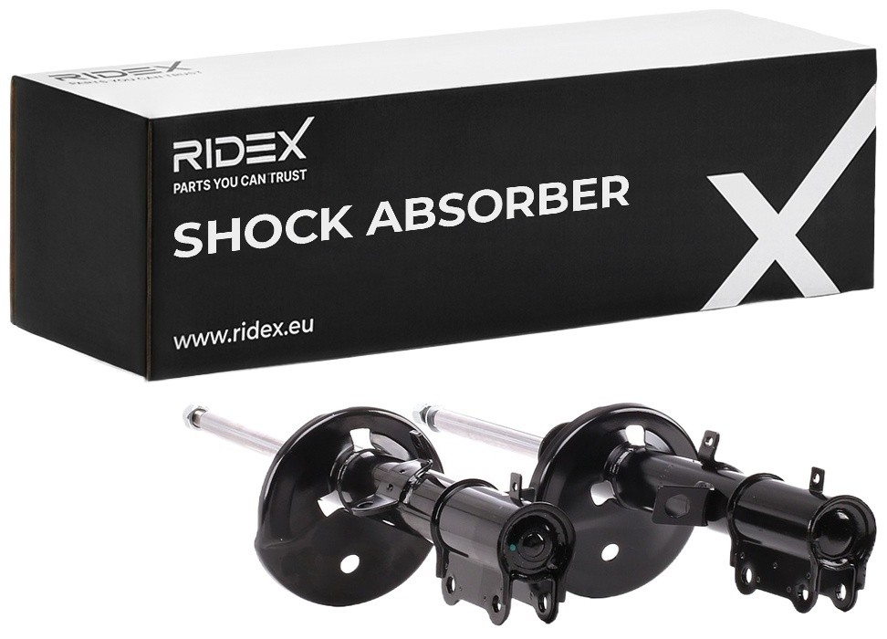 RIDEX Shock absorber Article number: 854S1902 cheaply