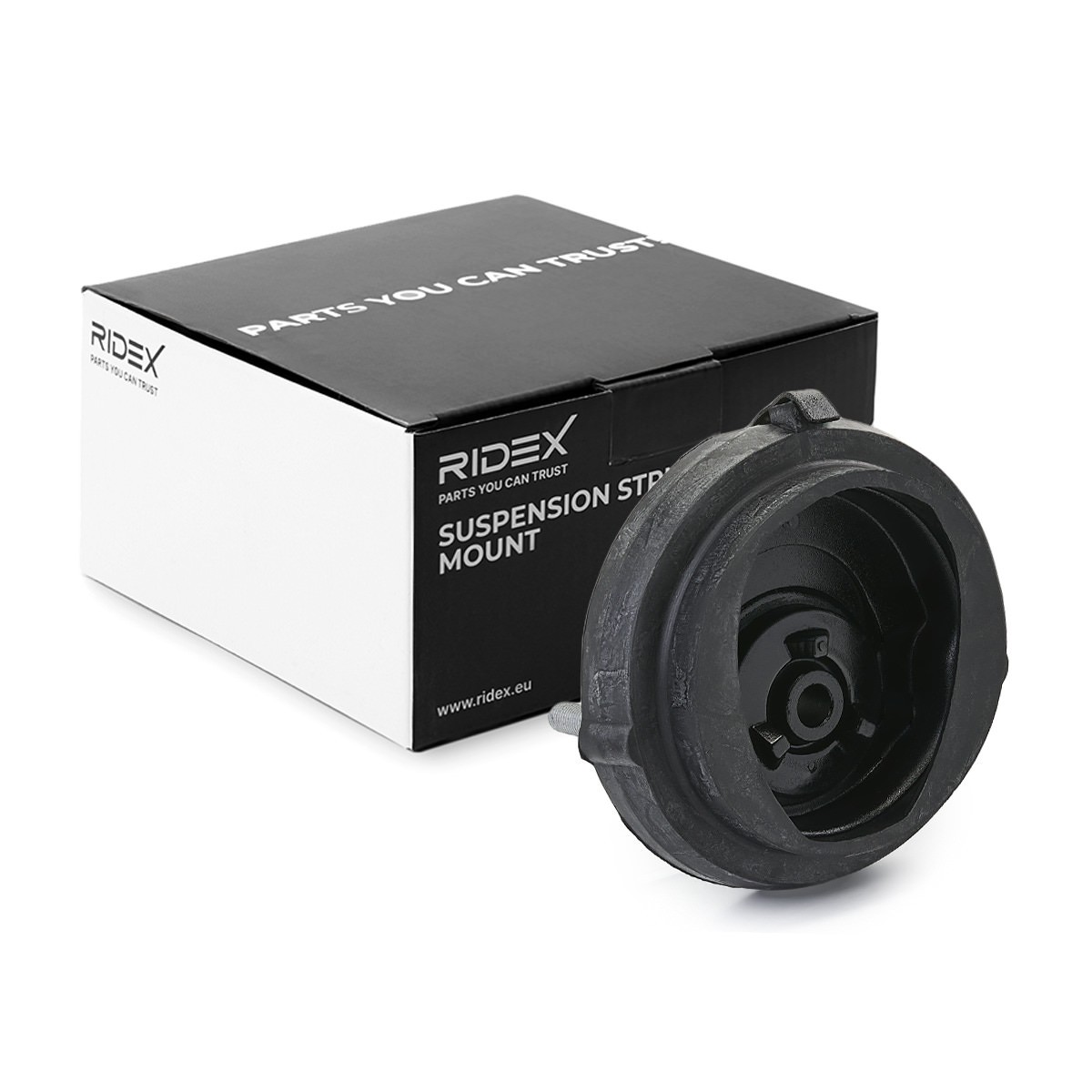 RIDEX Repair kit, suspension strut Article number: 1632R0005 cheaply