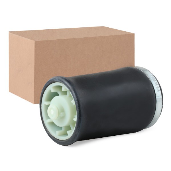 RIDEX Luftfjeder Varenummer: 4119A0009 billige