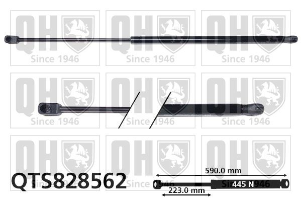 QUINTON HAZELL Tailgate strut Article number: QTS828562 cheaply