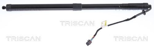 TRISCAN Tailgate strut Article number: 8710 17304 cheaply