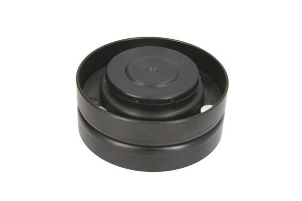 BTA Tensioner Pulley, V-belt Article number: B05-AG-078 cheaply