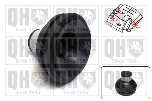 QUINTON HAZELL EM4839 Puhver, mootorikate LOGAN 1.5 dCi 65 HP Diisel