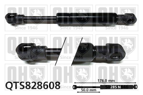 QUINTON HAZELL Tailgate strut Article number: QTS828608 cheaply