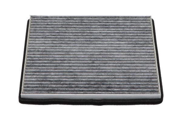 KAVO PARTS Pollen filter Article number: TC-1006C cheaply