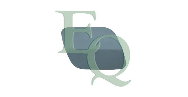 EQUAL QUALITY Bumper moulding Article number: P6170 cheaply