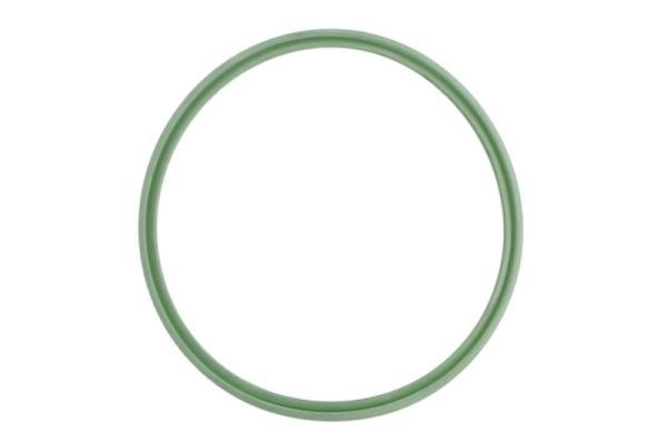 THERMOTEC Seal, turbo air hose Article number: DCB105TT cheaply
