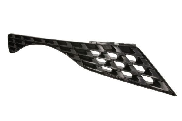 BLIC Radiator Grille Article number: 6502-07-1601996P cheaply