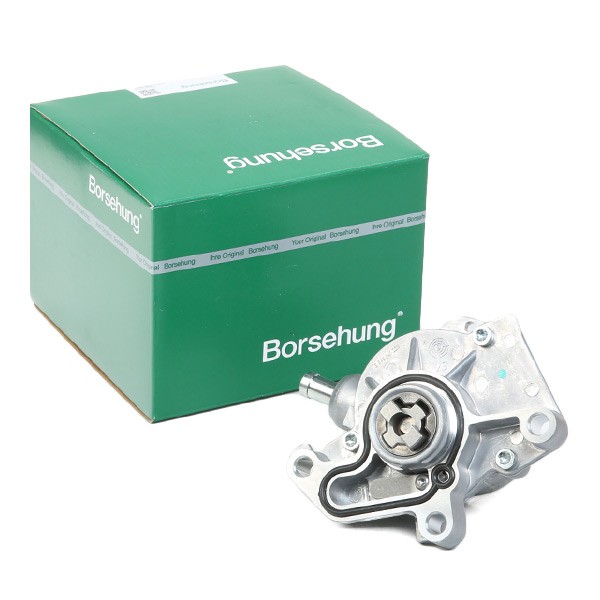 Borsehung Piduri vaakumpump Artikli number: B18801 soodsalt