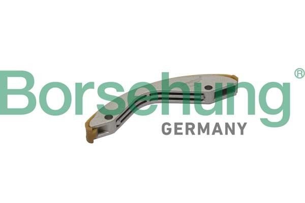 Borsehung B1G017 Guides, timing chain PASSAT 2.5 170 PS Petrol 2020