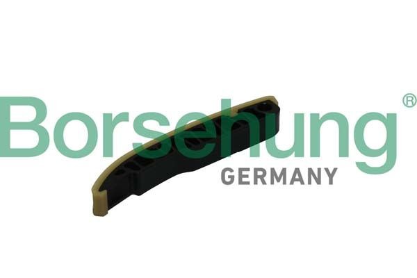 Borsehung B1G018 Guides, timing chain PASSAT 2.5 170 PS Petrol 2020
