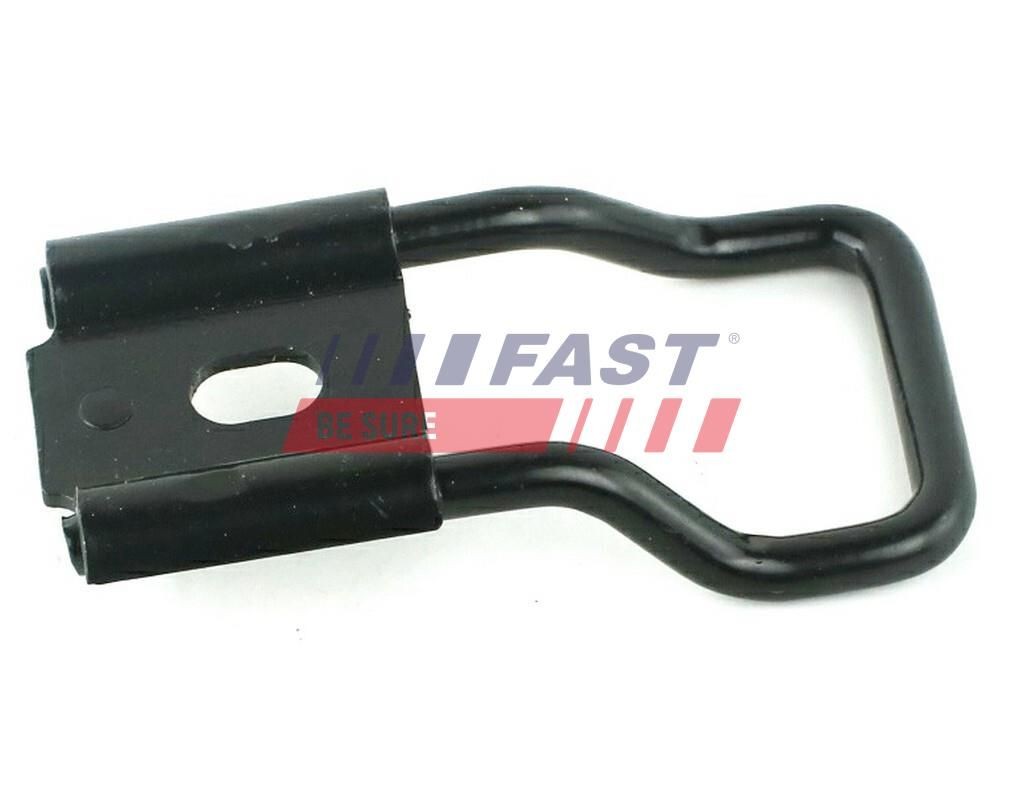 FAST FT95471 Guide, locking knob KANGOO 1.5 dCi 68 PS Diesel