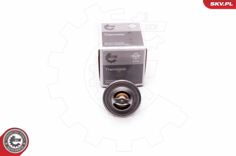 ESEN SKV Thermostat Article number: 20SKV058 cheaply