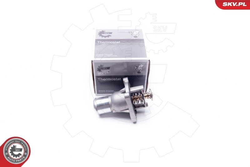 ESEN SKV Thermostat Article number: 20SKV081 cheaply