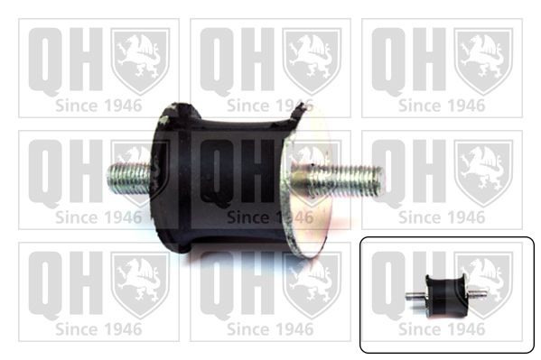 QUINTON HAZELL Engine mount Article number: EM1364 cheaply