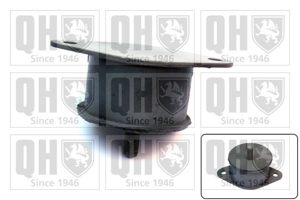 QUINTON HAZELL Engine mount Article number: EM1509 cheaply